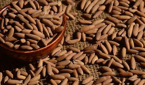 فروش عینک ایمنی